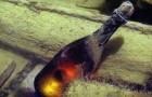 Toute la lumière sur le mystère du champagne d’Aaland