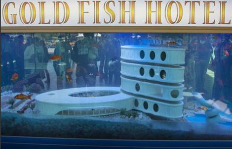 goldfish-hotel.jpg