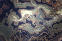kazakhstan-bord-du-lac-tengiz.jpg