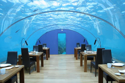 Maldives_2