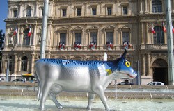 Marseille : une Â« vache Â» de mise aux enchÃ¨res !