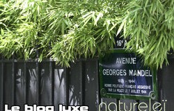 Naturelei : l’oasis au pied de la Tour Eiffel