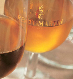 RemyMartin.jpg