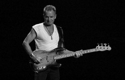 Sting va vendre son vin