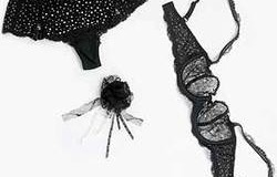 Swarovski fait dans la dentelle