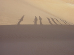 Trek_mauritanie_ombre20groupe