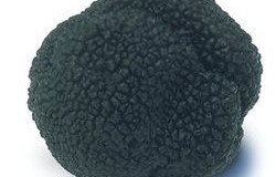 C’est la saison des truffes!