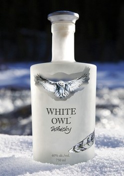 white-owl-snow.jpg
