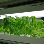 Agri-Cube5 Agri-Cube5