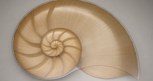Asseyez vous à un coquillage