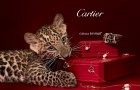 Le compte de Noël par Cartier