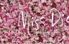 La miss-terre de la nouvelle campagne Dior